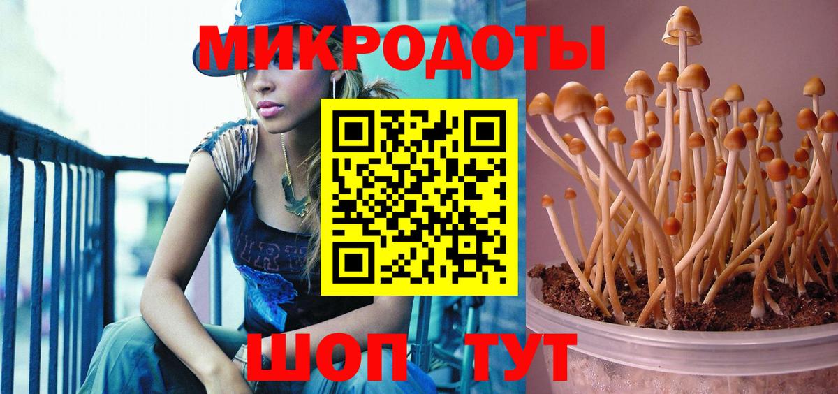Псилоцибиновые грибы Magic Shrooms Зима