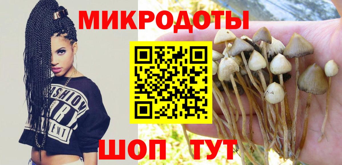 Зима  Галлюциногенные грибы GOLDEN TEACHER  где можно купить   Псилоцибиновые грибы прущие грибы  Вход с VPN 